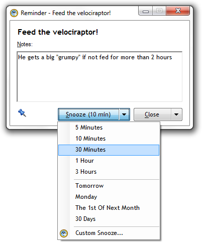 Reminder snooze