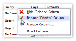 Rename columns (fields) - in the Ultimate edition